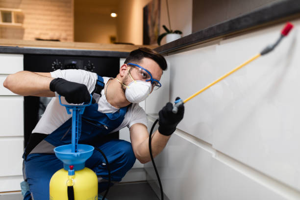 Pest Prevention Services in Rollingwood, CA