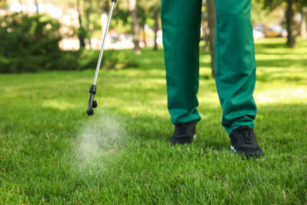 Best Insect Control  in Rollingwood, CA